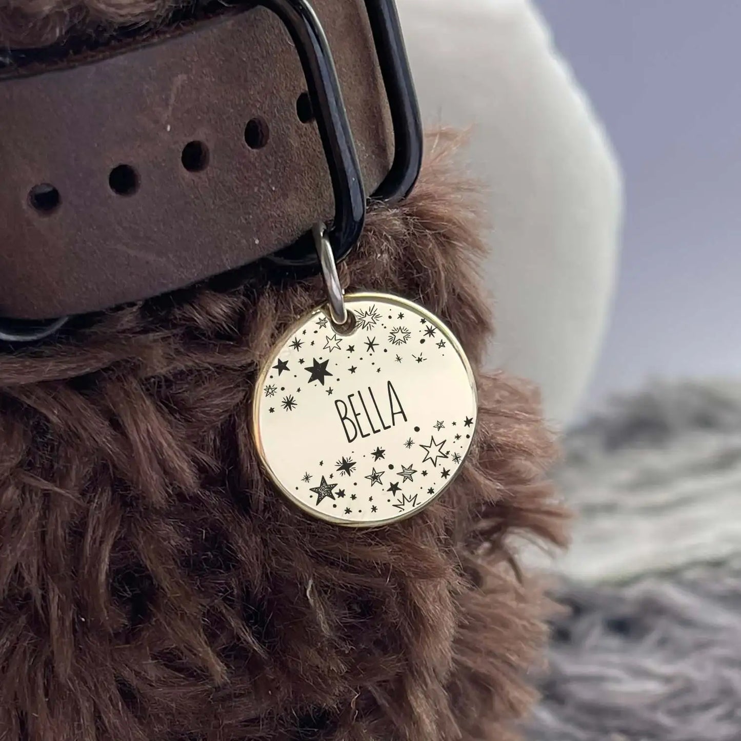 Cat Dog ID Tag Personalized Custom